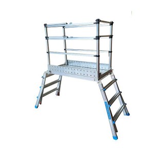 Scaffolding Ladders